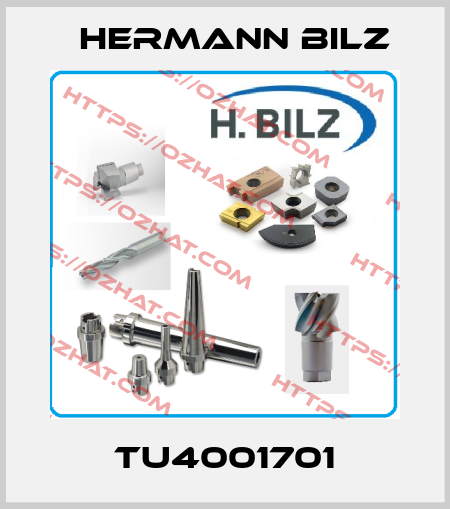 TU4001701 Hermann Bilz