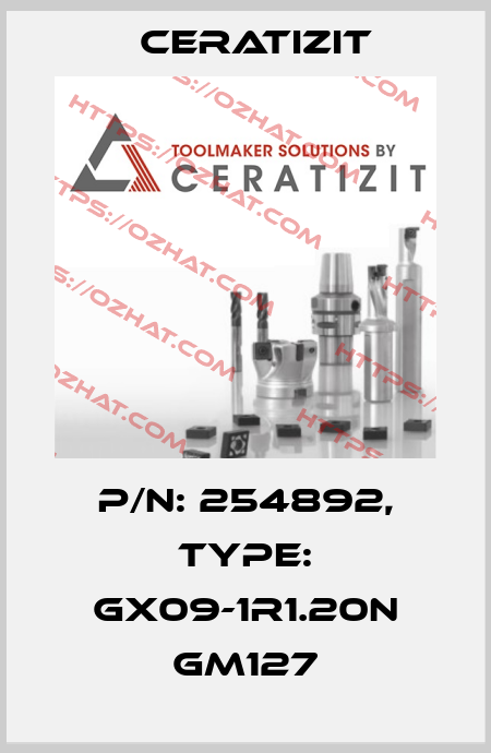 P/N: 254892, Type: GX09-1R1.20N GM127 Ceratizit