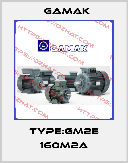 Type:GM2E 160M2A Gamak