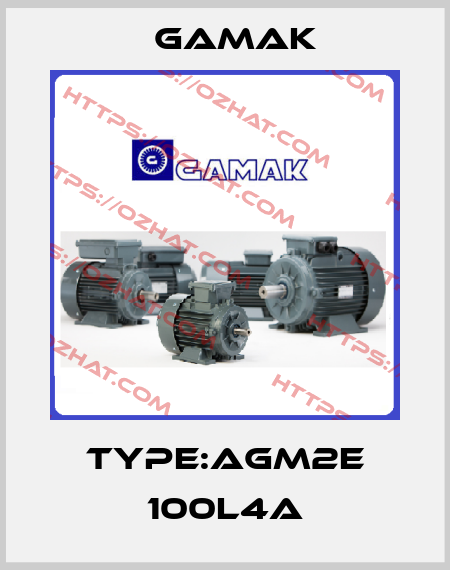 Type:AGM2E 100L4A Gamak