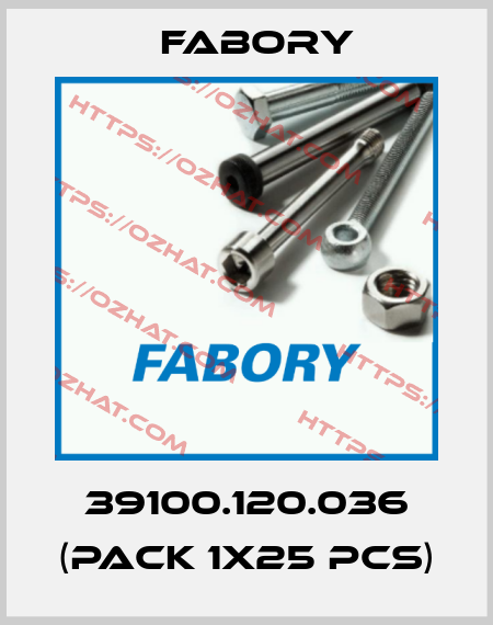 39100.120.036 (pack 1x25 pcs) Fabory