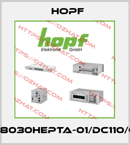 FG8030HEPTA-01/DC110/GP Hopf