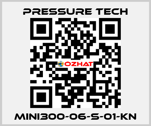 MINI300-06-S-01-KN Pressure Tech