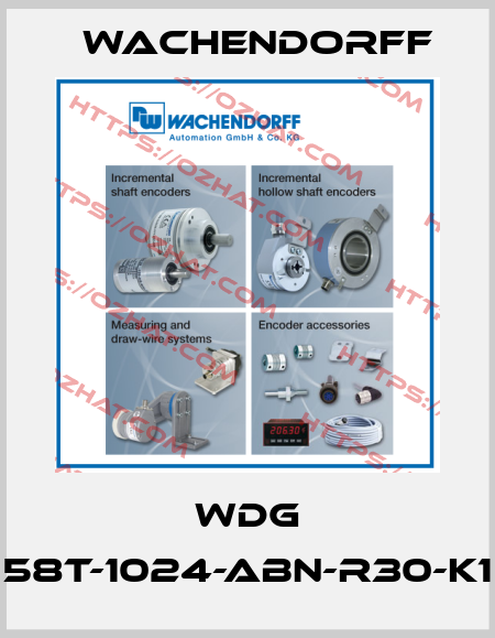 WDG 58T-1024-ABN-R30-K1 Wachendorff
