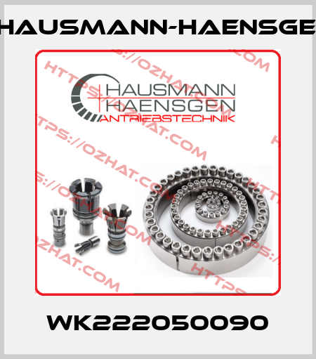 WK222050090 Hausmann-Haensgen