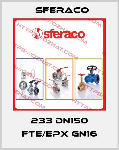 233 DN150 FTE/EPX GN16 Sferaco