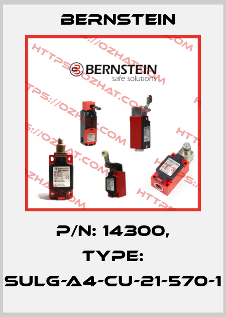 P/N: 14300, Type: SULG-A4-CU-21-570-1 Bernstein