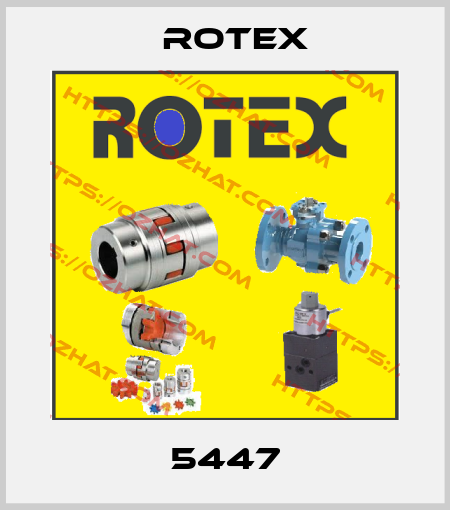 5447 Rotex