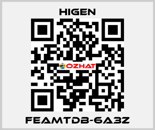 FEAMTDB-6A3Z Higen