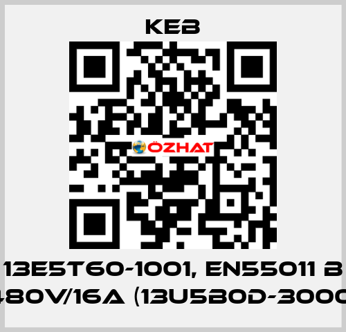 13E5T60-1001, EN55011 B 480V/16A (13U5B0D-3000) KEB