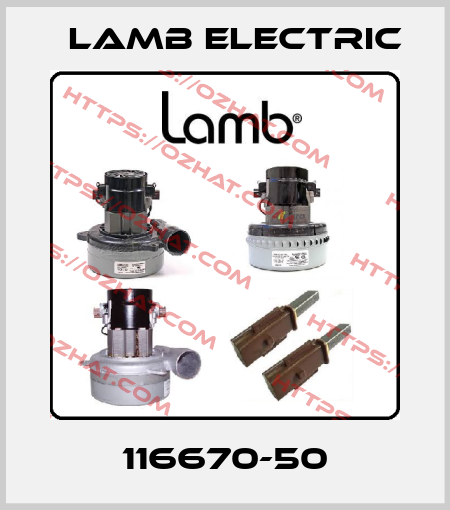 116670-50 Lamb Electric