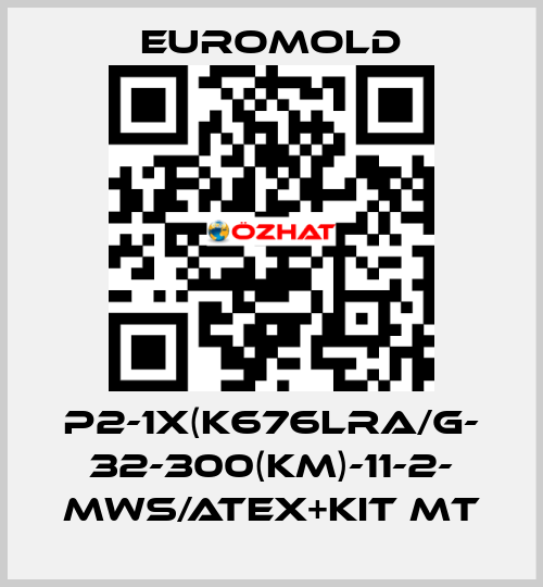P2-1x(K676LRA/G- 32-300(KM)-11-2- MWS/ATEX+KIT MT EUROMOLD