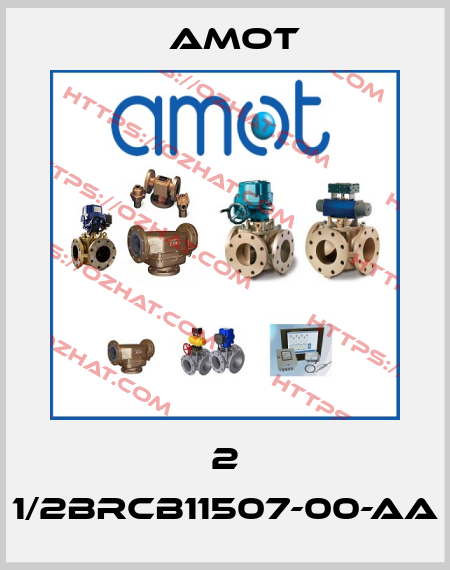2 1/2BRCB11507-00-AA Amot