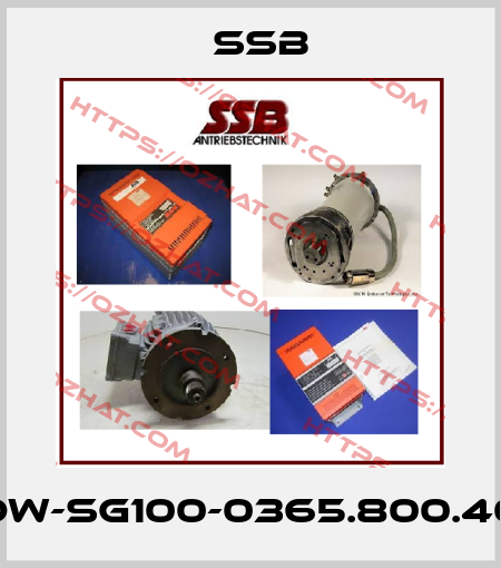 DW-SG100-0365.800.40 SSB
