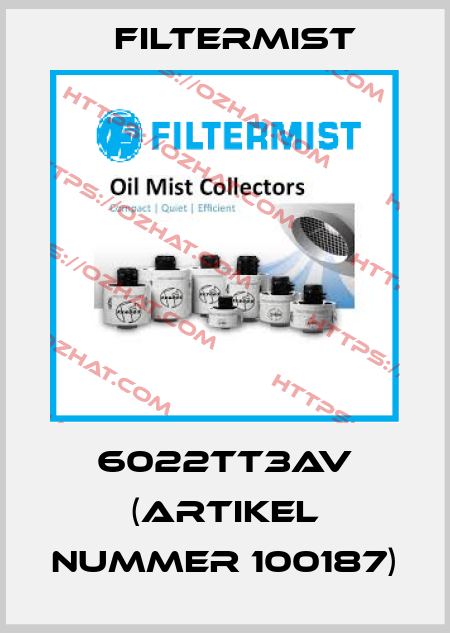 6022TT3AV (Artikel Nummer 100187) Filtermist