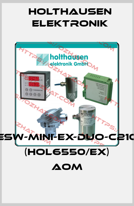 ESW-Mini-Ex-Duo-C210 (HOL6550/EX) AOM HOLTHAUSEN ELEKTRONIK
