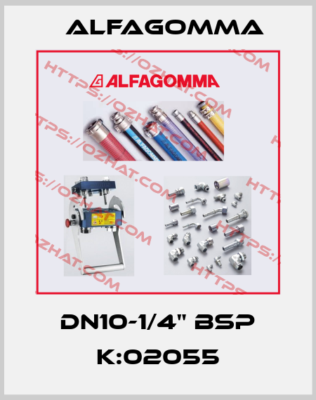 DN10-1/4" BSP K:02055 Alfagomma