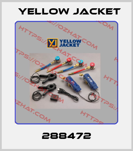 288472 Yellow Jacket