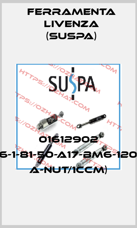 01612902 (16-1-81-50-A17-BM6-120N A-Nut/1ccm) Ferramenta Livenza (Suspa)