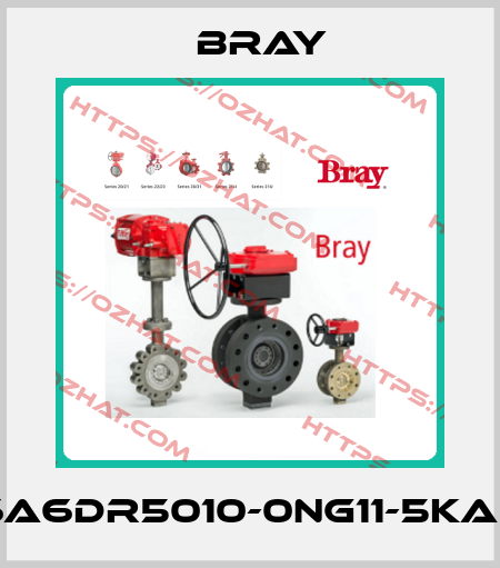 6A6DR5010-0NG11-5KA0 Bray