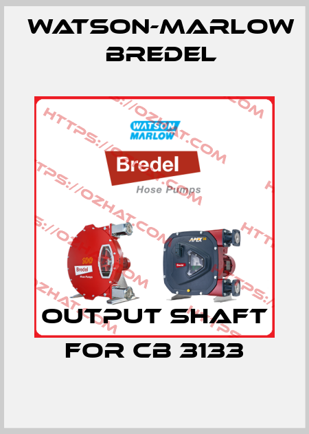 OUTPUT SHAFT FOR CB 3133 Watson-Marlow Bredel
