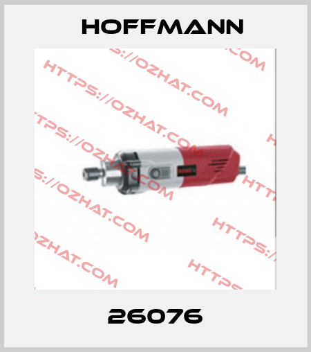 26076 Hoffmann