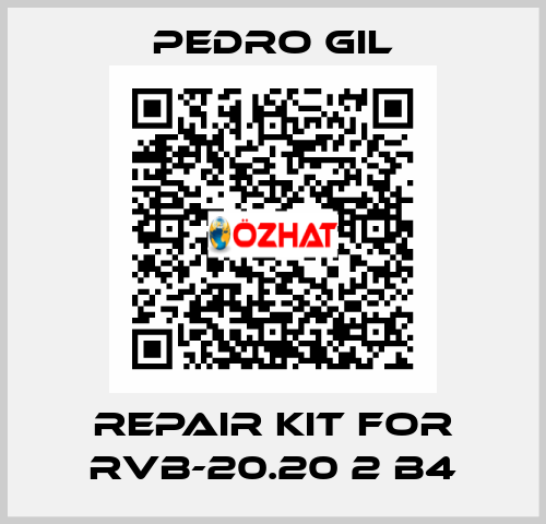 repair kit for RVB-20.20 2 B4 PEDRO GIL
