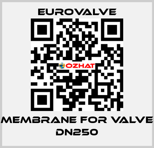 membrane for valve DN250 Eurovalve