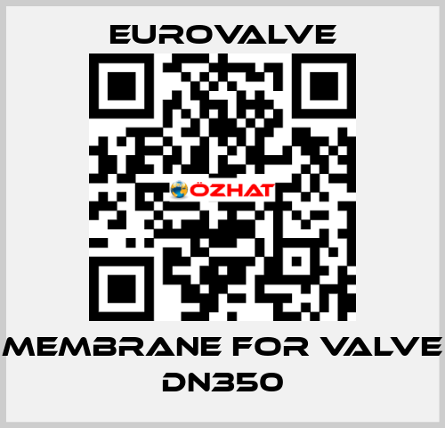 membrane for valve DN350 Eurovalve