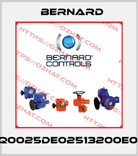 4Q0025DE02513200E0M Bernard