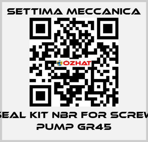 SEAL KIT NBR FOR SCREW PUMP GR45 Settima Meccanica