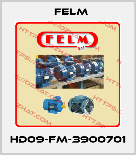 HD09-FM-3900701 Felm