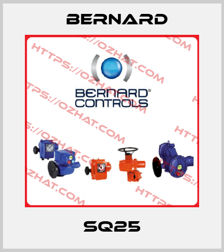 SQ25 Bernard