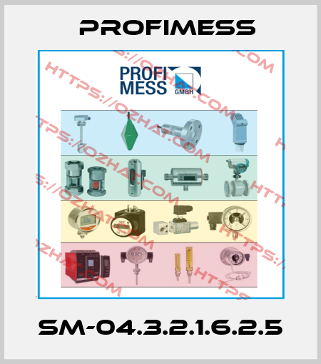 SM-04.3.2.1.6.2.5 Profimess