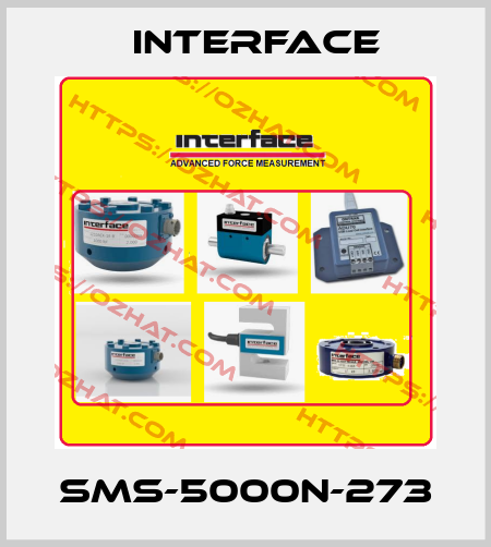 SMS-5000N-273 Interface