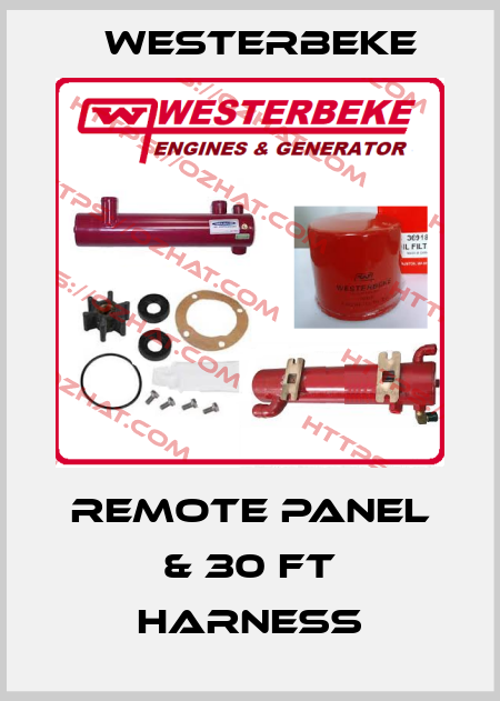 Remote panel & 30 ft harness Westerbeke