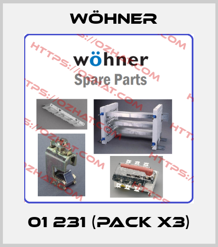01 231 (pack x3) Wöhner