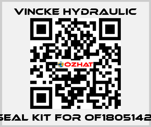 seal kit for OF18051421 VINCKE HYDRAULIC