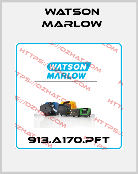 913.A170.PFT Watson Marlow