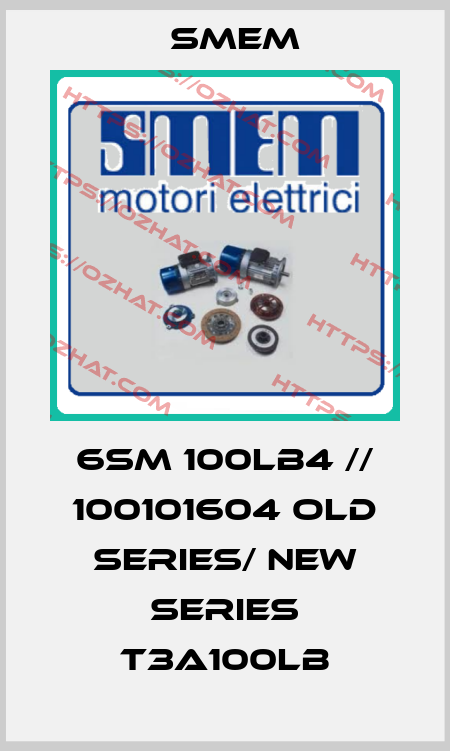 6SM 100LB4 // 100101604 old series/ new series T3A100LB Smem