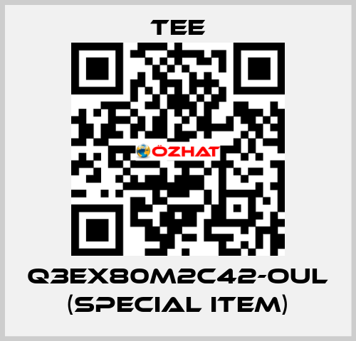 Q3EX80M2C42-OUL (special item) TEE