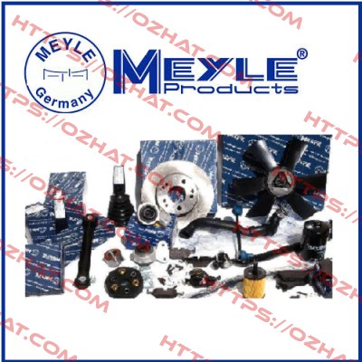 P/N:SI099; Type:6KB4111 Meyle