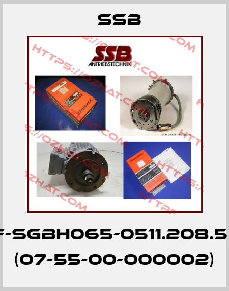 DSF-SgBH065-0511.208.50.K1 (07-55-00-000002) SSB