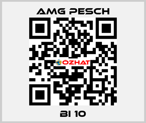 BI 10 AMG Pesch