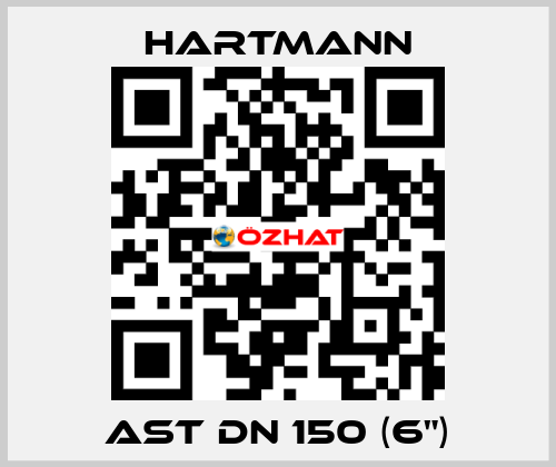 AST DN 150 (6") Hartmann