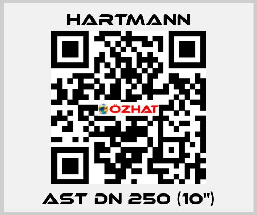 AST DN 250 (10") Hartmann