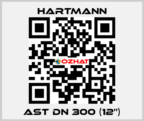 AST DN 300 (12") Hartmann