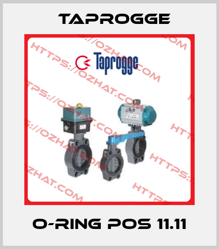 O-ring Pos 11.11 Taprogge