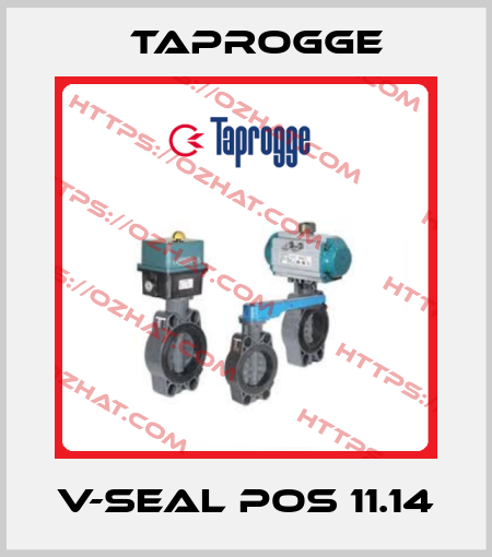 V-Seal Pos 11.14 Taprogge