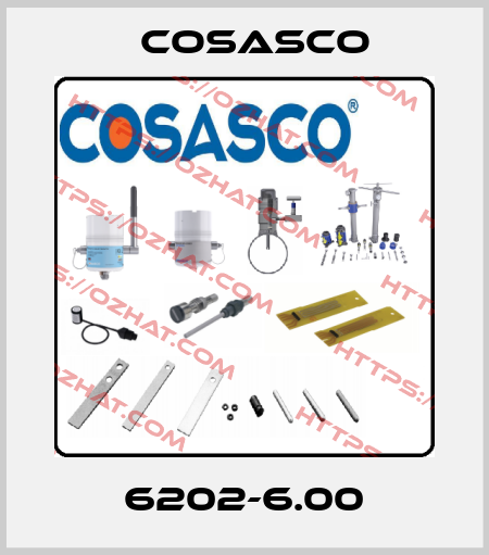 6202-6.00 Cosasco